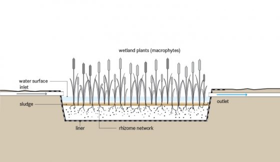TILLEY et al 2014 Schematic of the Free Water Surface Constructed Wetland